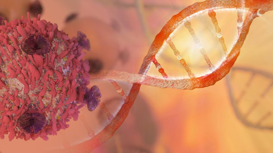 Imagen científica de células pulmonares observadas al microscopio